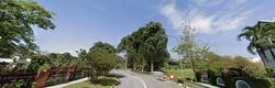 Goldhill Avenue (D11), Detached #624512881